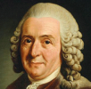 Benutzerbild von Linnaeus